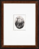 Rembrandt van Rijn etching for sale / ets te koop / gravure a vendre - Christ crucified between the two Thieves; an Oval Plate, c. 1641 f